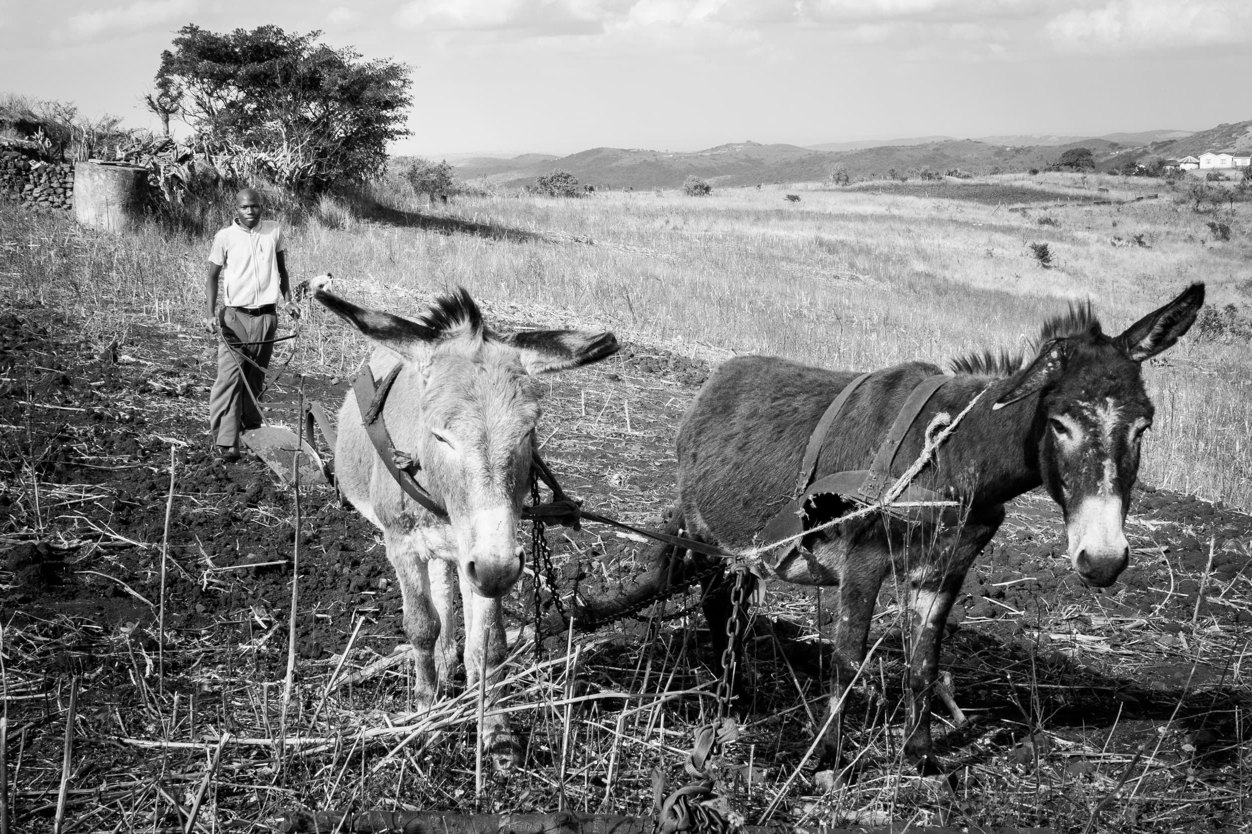 South Africa photography