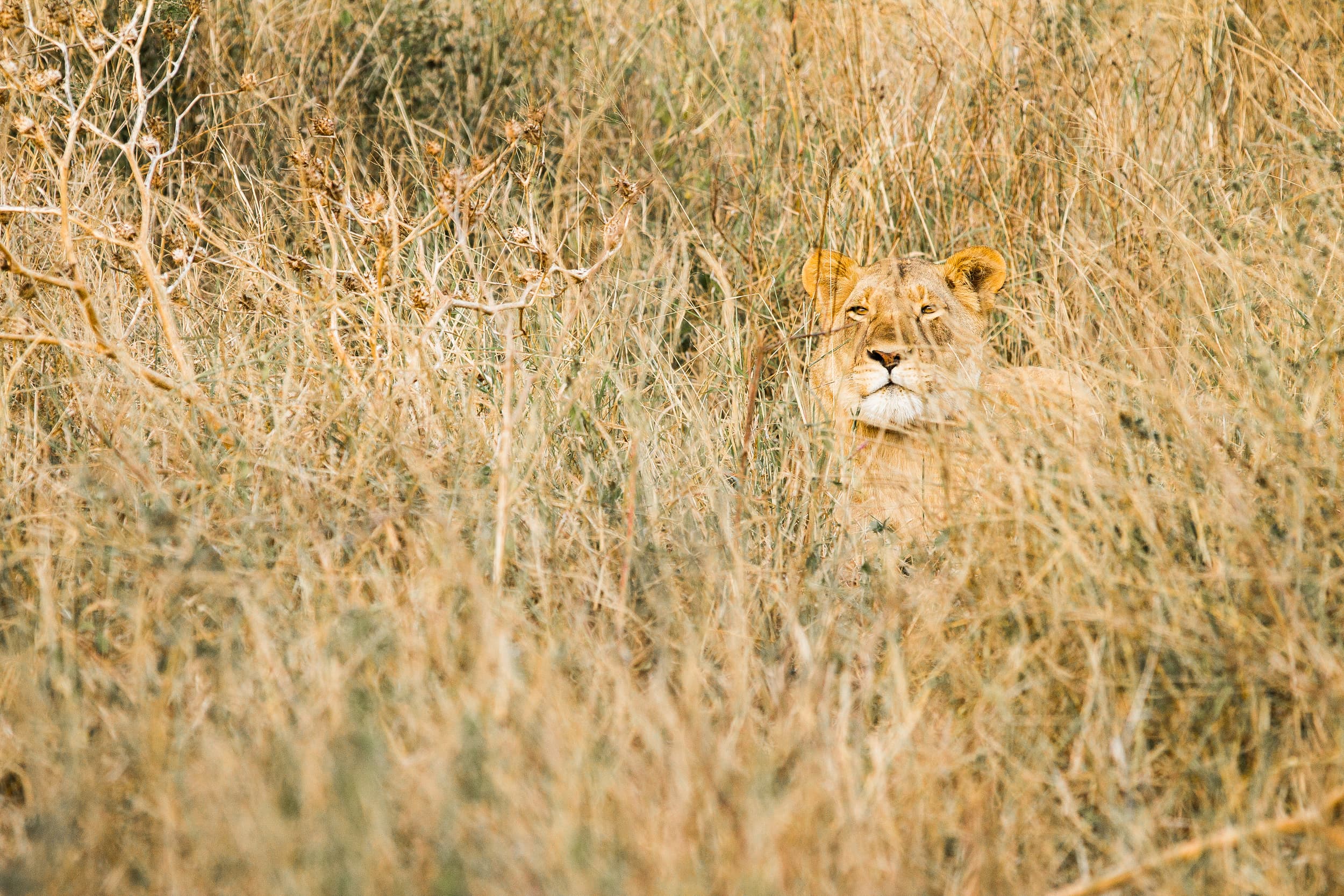South Africa photography