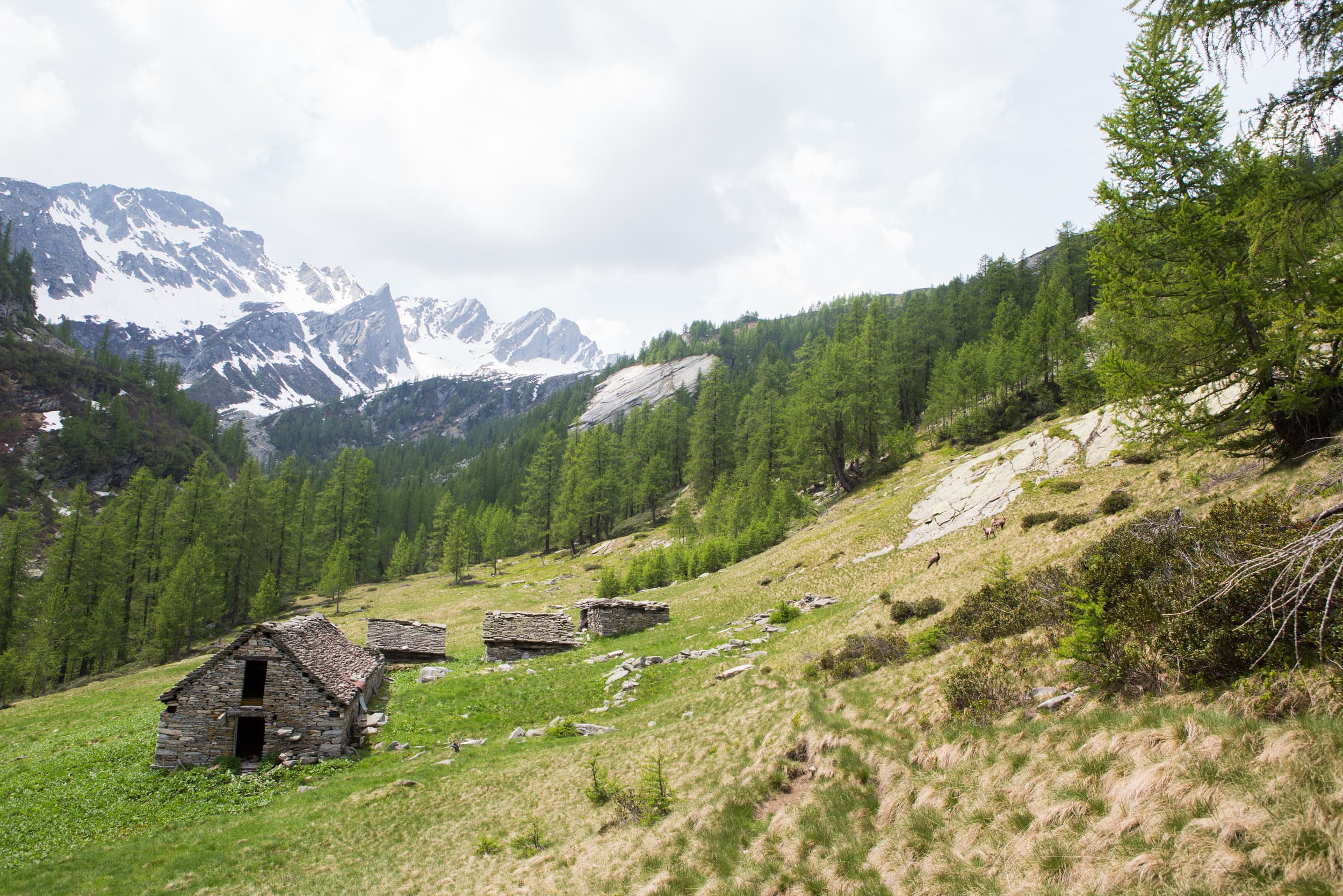 Switzerland photography