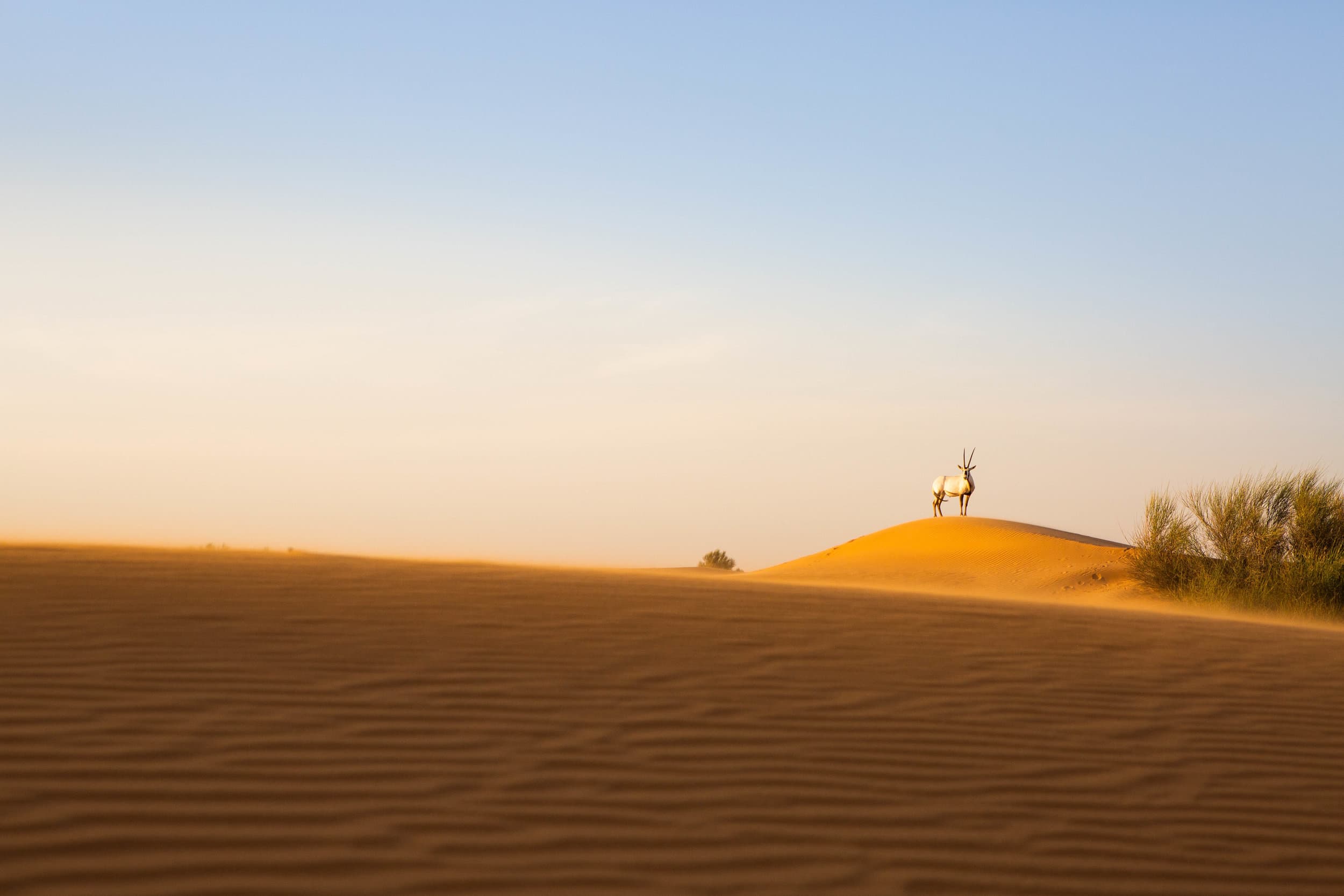 United Arab Emirates photography